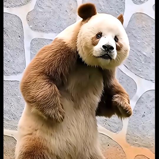 潜龙勿用