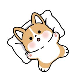 柴柯夫斯基·呆