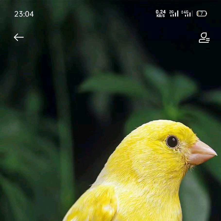 难忘的过去