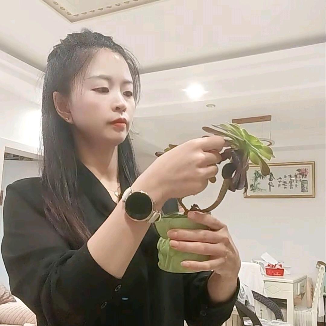 人生如戏