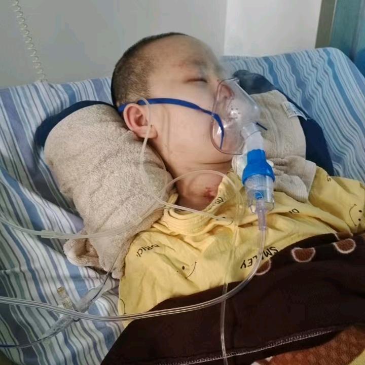 涛涛妈