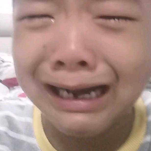 梓—