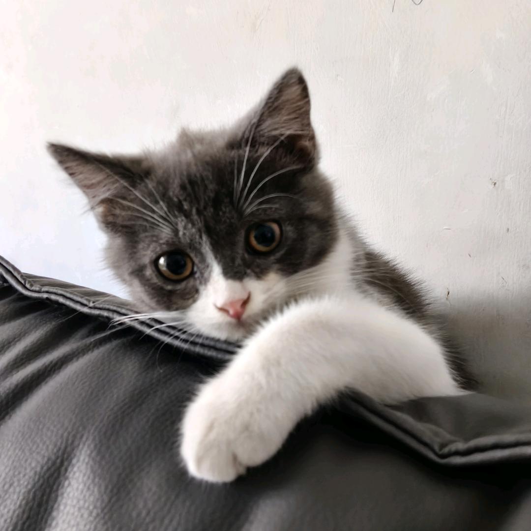 YLJ🔮😸