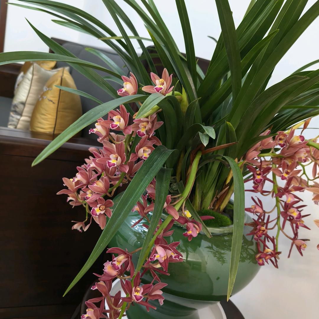 温一壶月光下酒