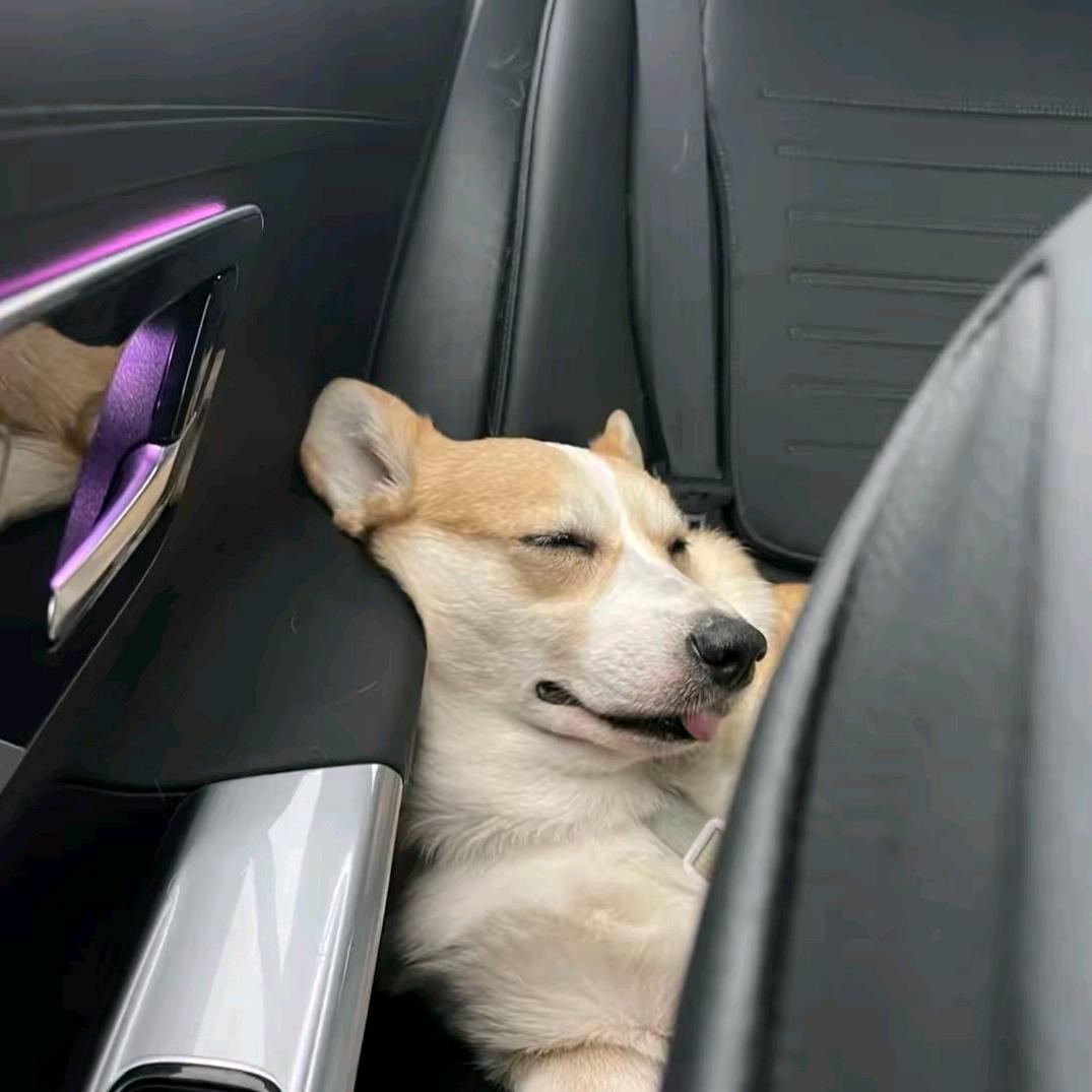 离观
