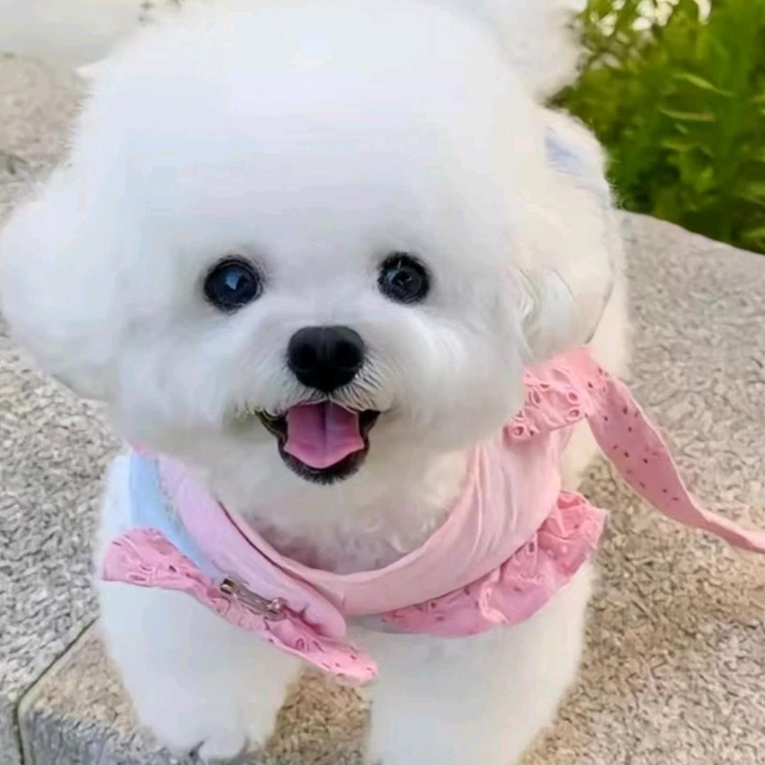 牛潭河钢材（郭清平）