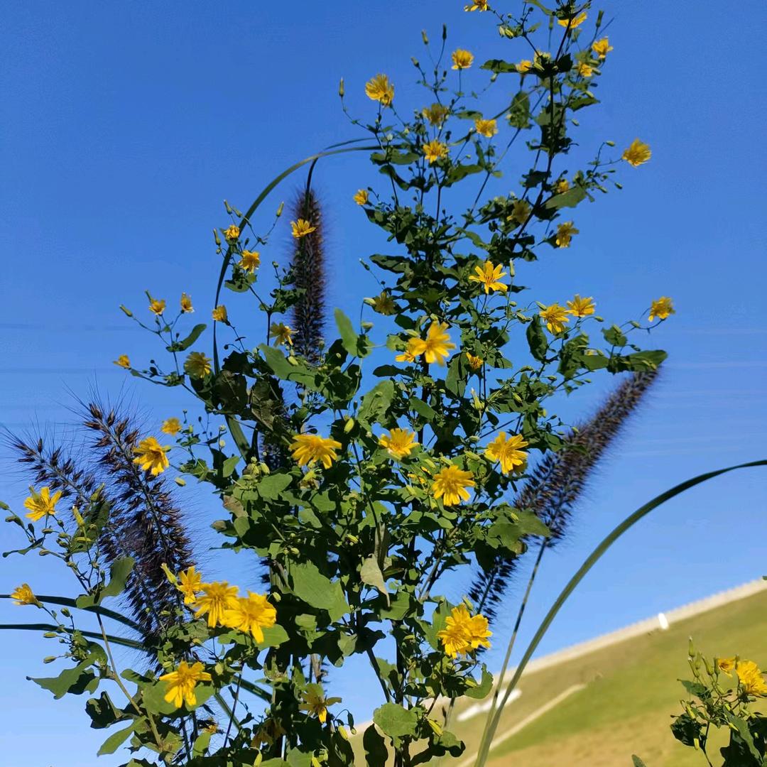 珍惜～缘分《拒聊》