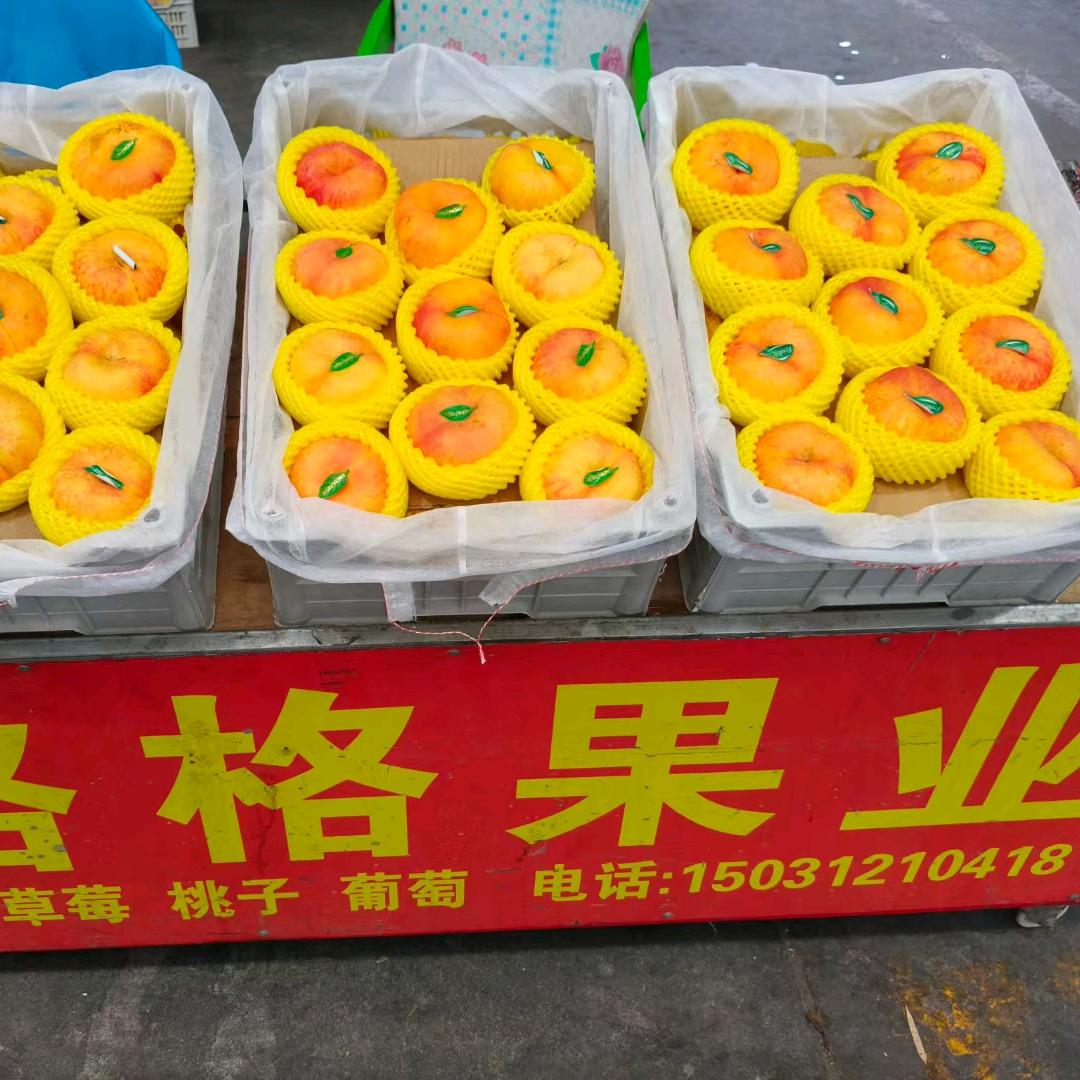 《格格果业》姚国强
