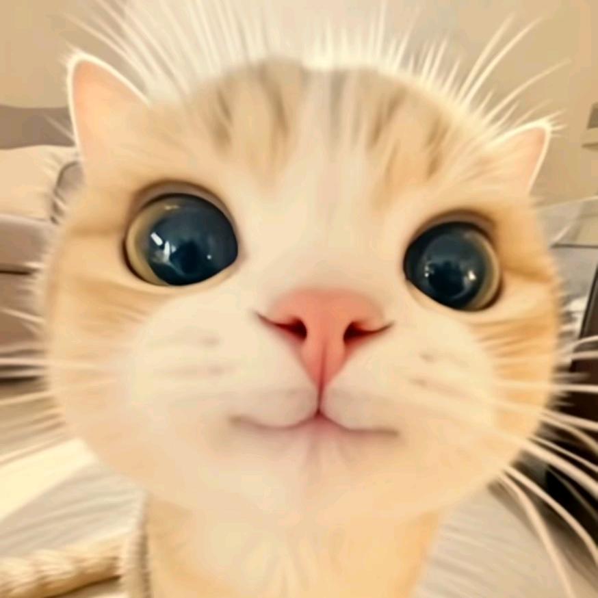 石材雕刻.等风来