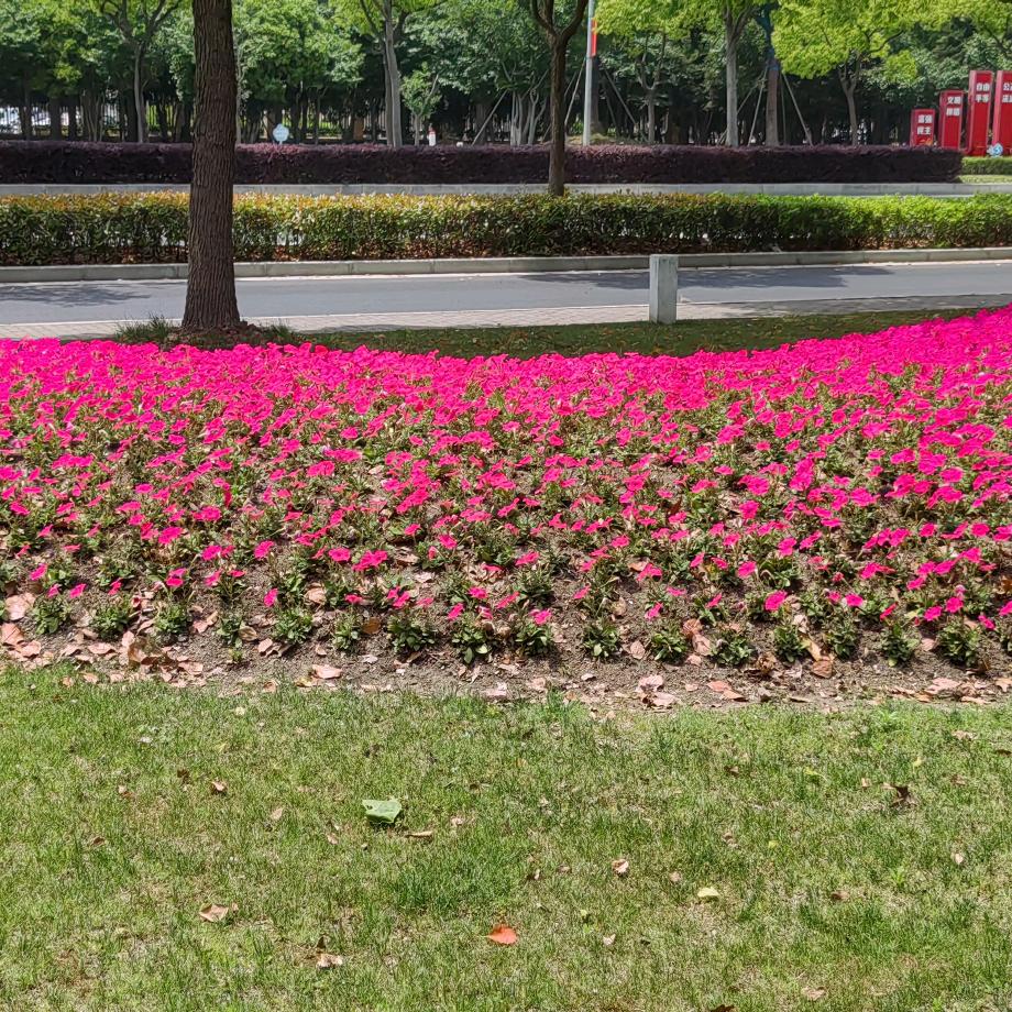 长河