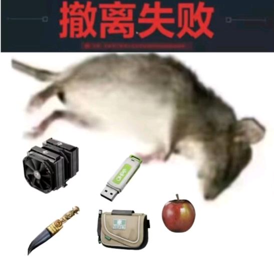 小趴菜..