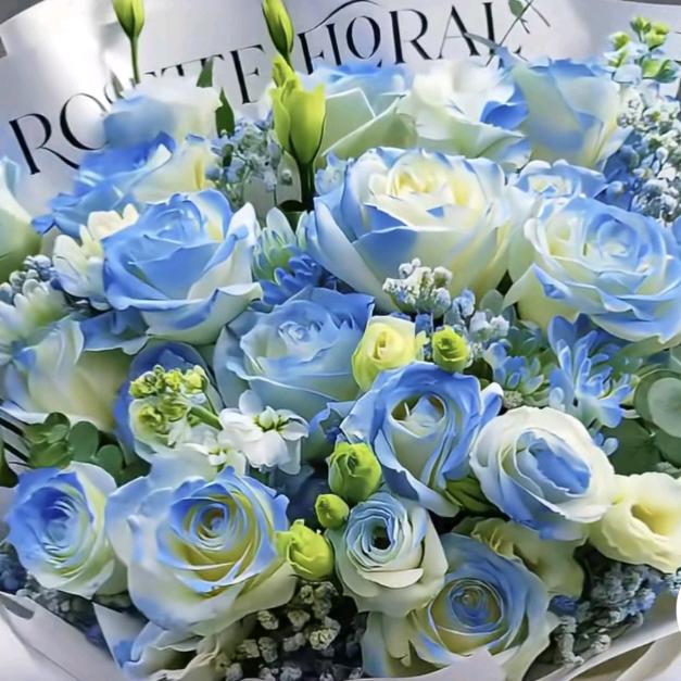 逍声匿迹还奢望拥有璀璨人生