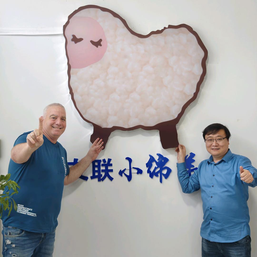 友联小绵羊