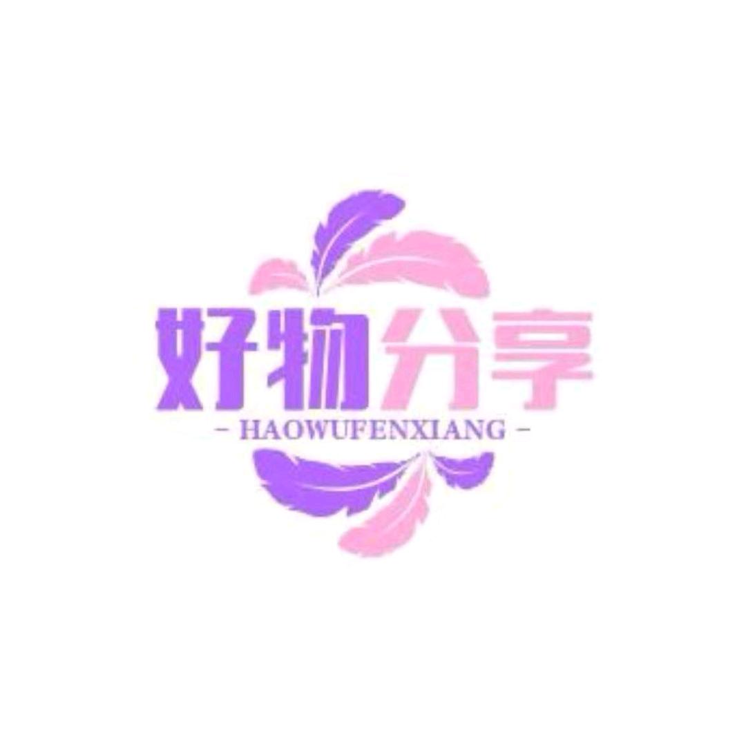 追梦的人好物分享