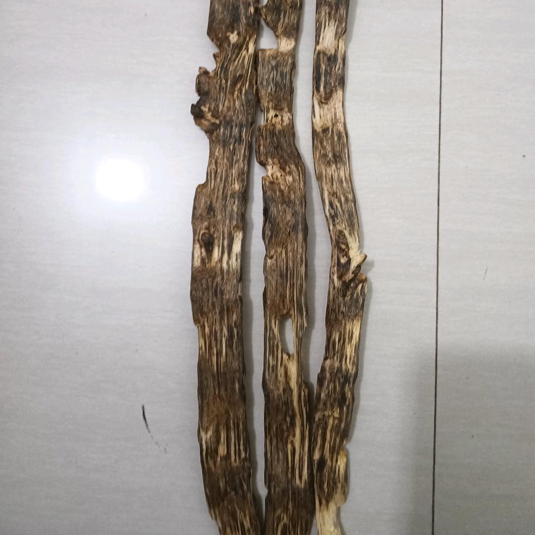 苏企鹅