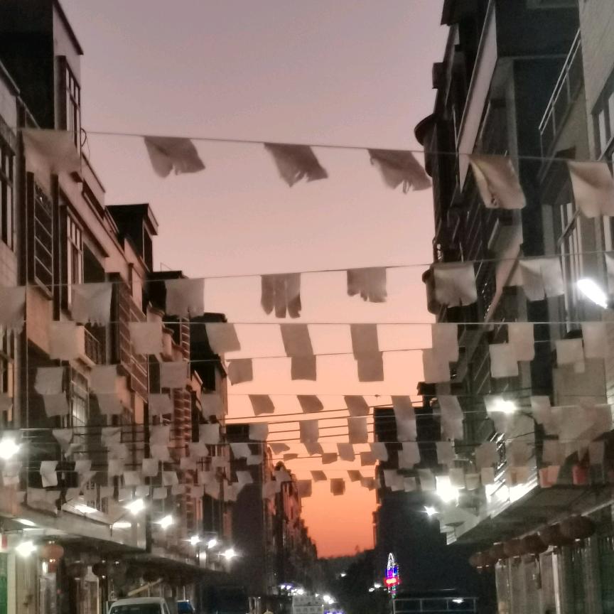 叶子🍂叶子