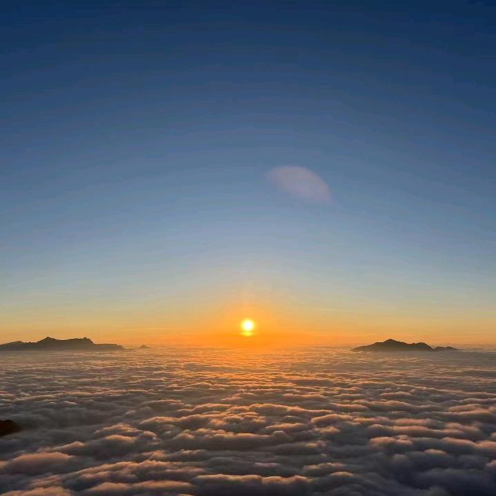 不吃糖