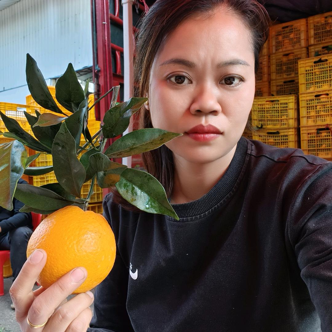 水果批发