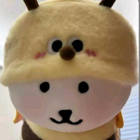 闫羽