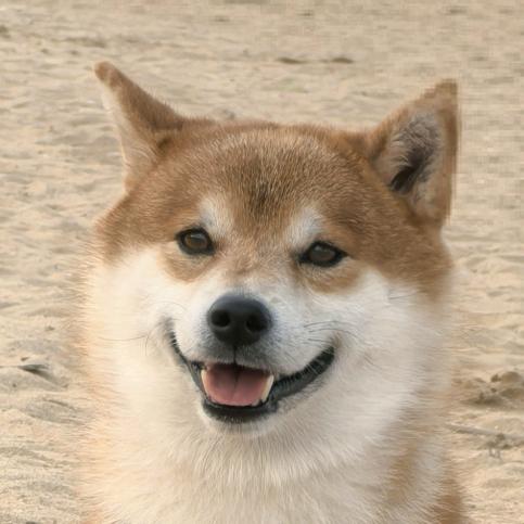 寻觅（解限机）