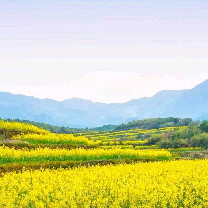 望川😄