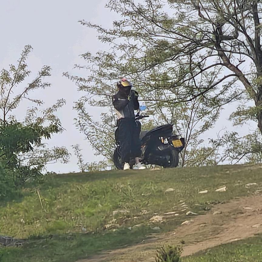 子御