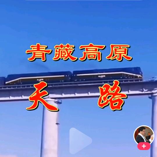 青藏高原创业失败后的大哥。