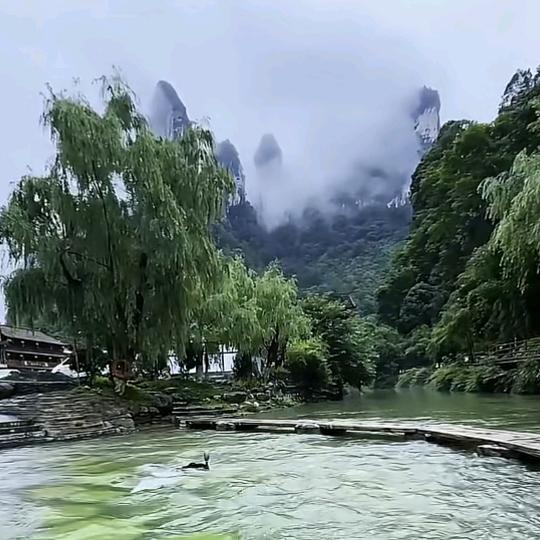 🧚‍♀️一海千城梦🧚‍♂️梦梦