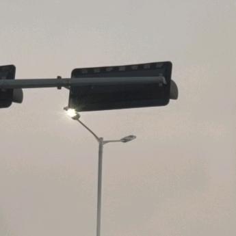 大学分享菌小叶