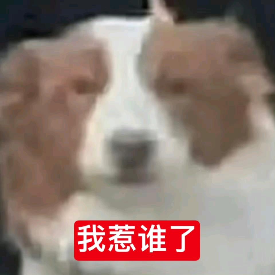 zlz.