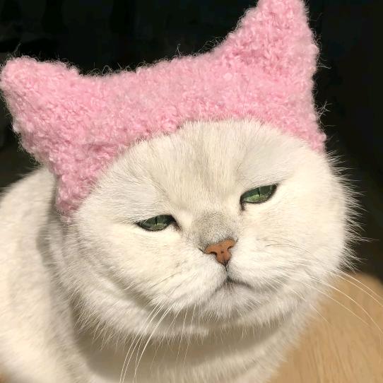 小汝奶酪