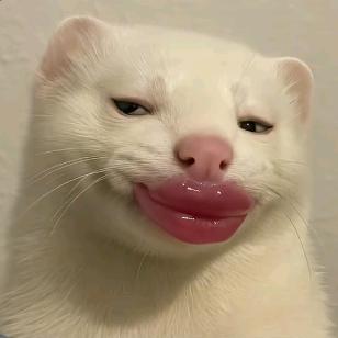 小小