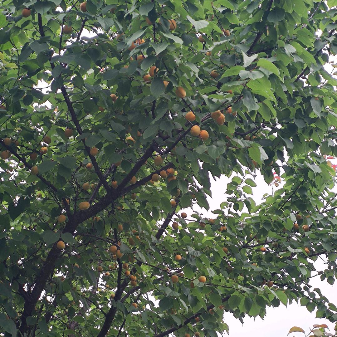 大好品质生活馆(新城街店)大好品质生活馆-官方号