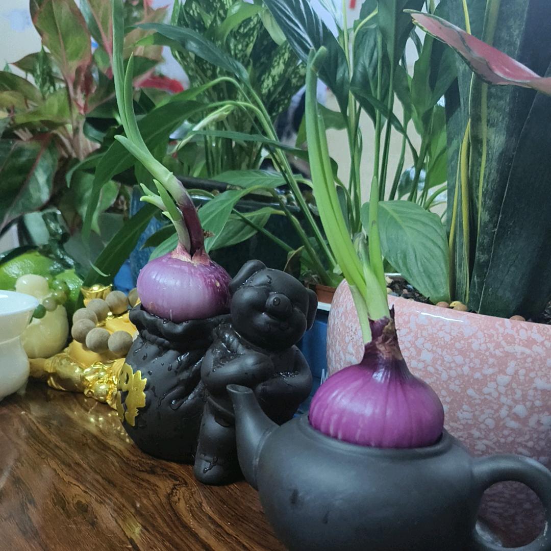 百善孝为先