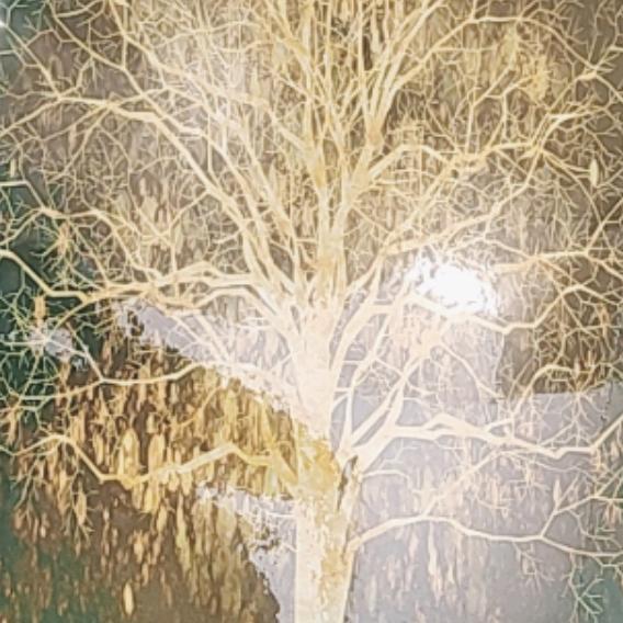 重生的我在工厂打螺丝