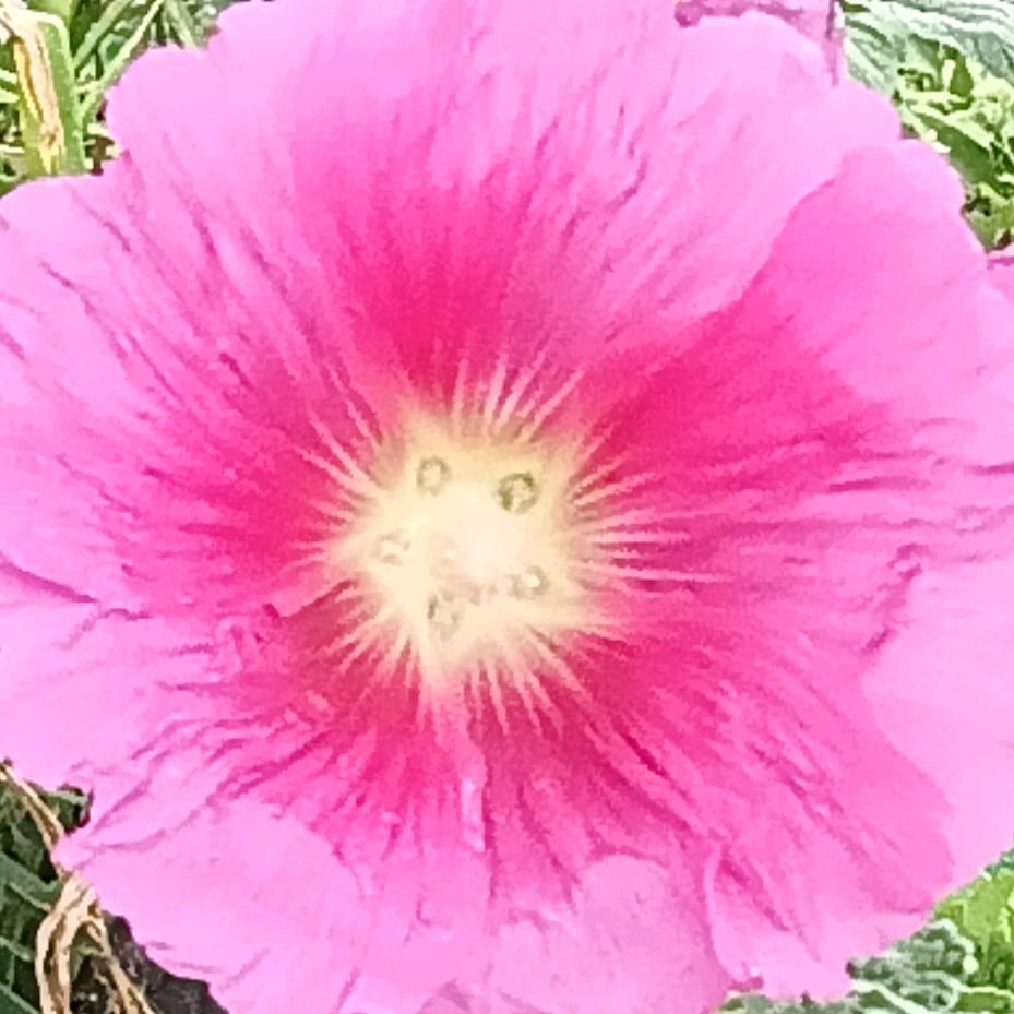 改变别人还不如改变自己