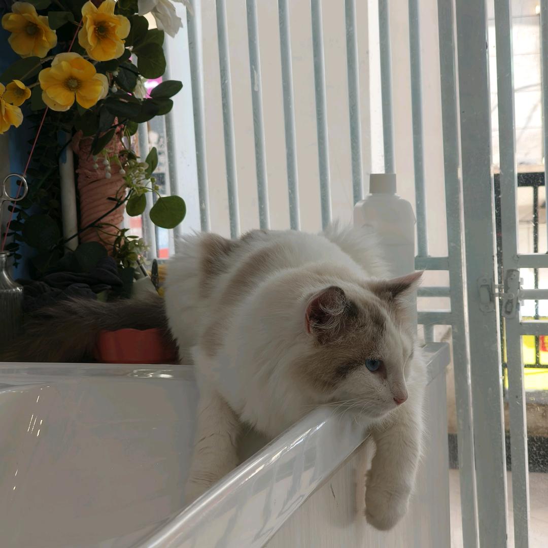 在路上电驴没电被热化了