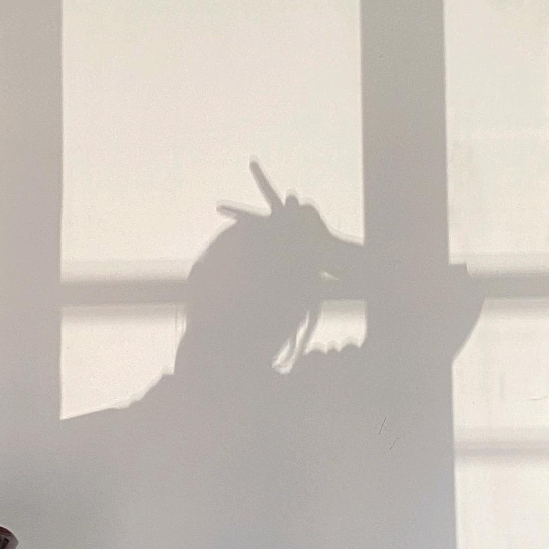 小谭在重庆做直播设备租赁