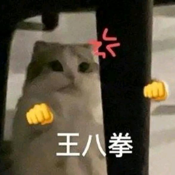 池鱼🦈