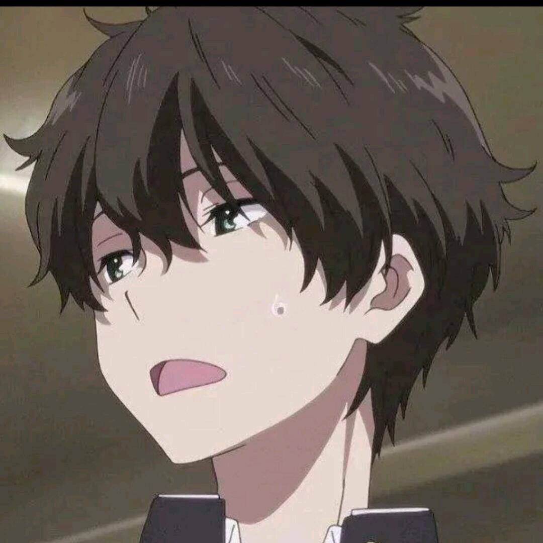 鲨鱼哟