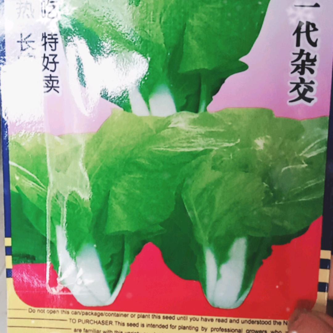 冬梅姐爱戏曲（小号）