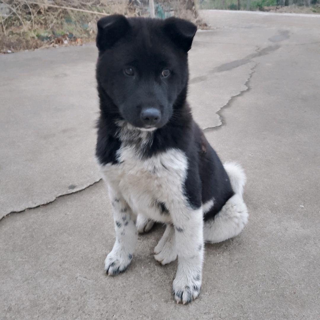 এ᭄ꦿ꯭ꫛএ᭄💕