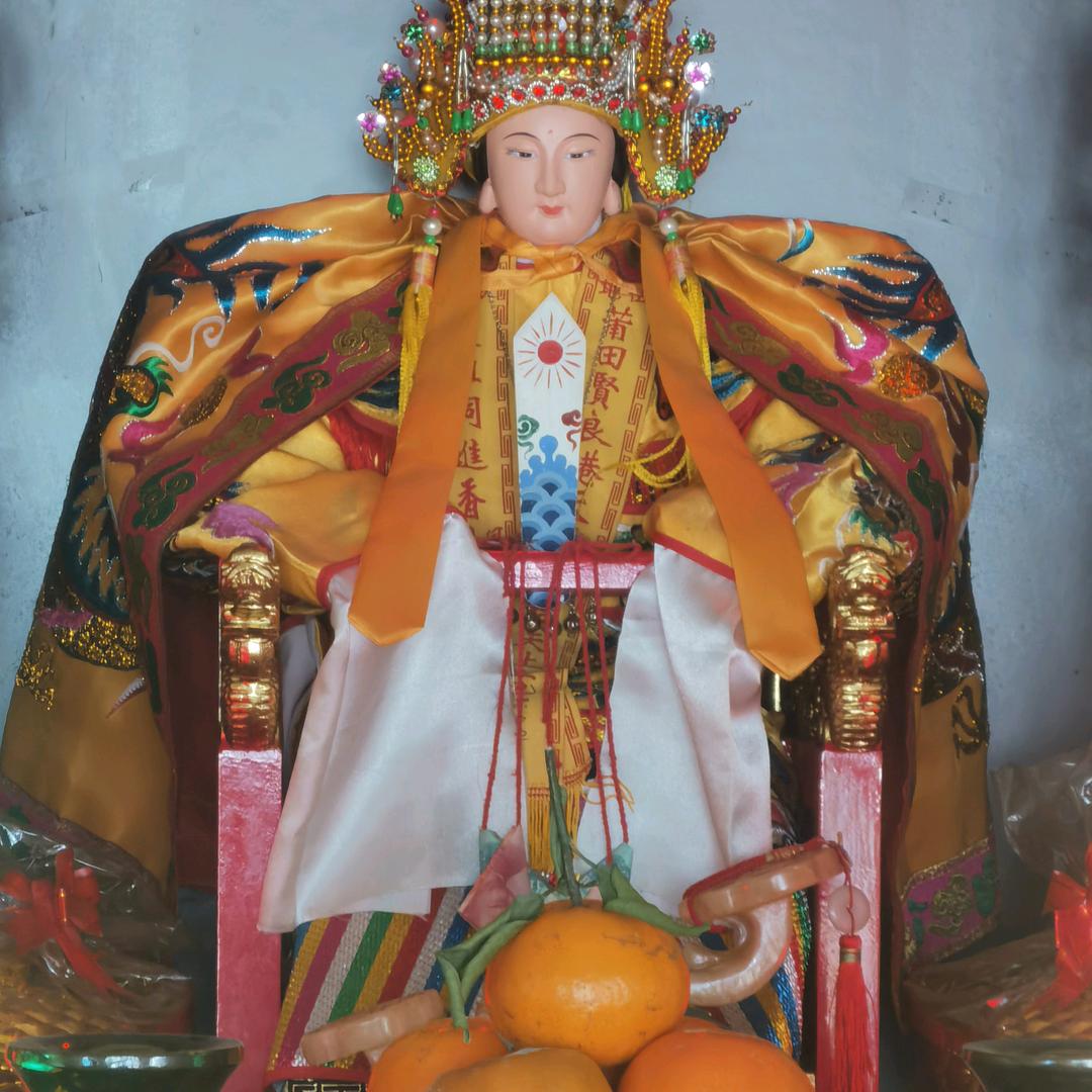 随风飘逸