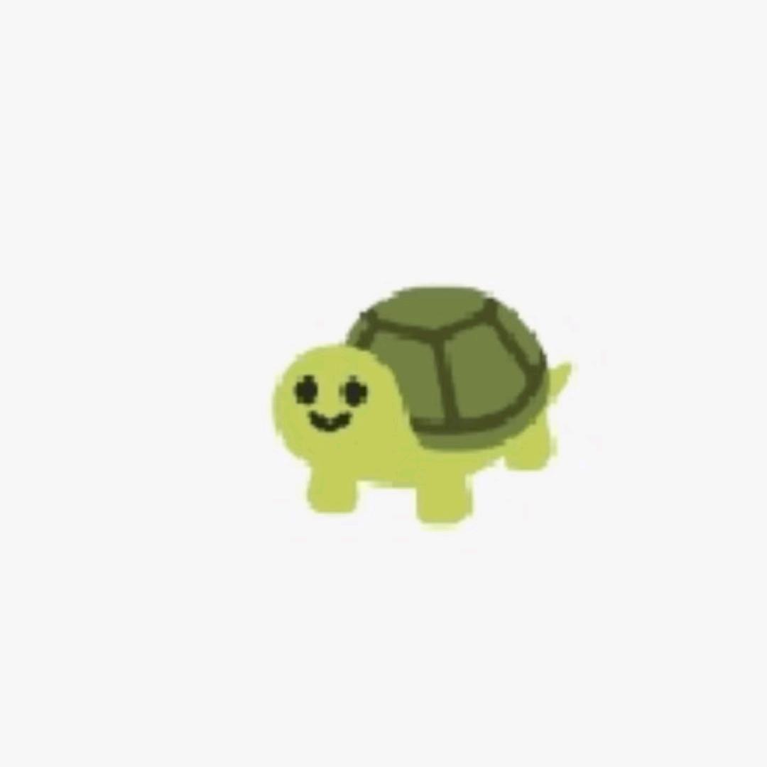坐照镜前的小乌龟🐢