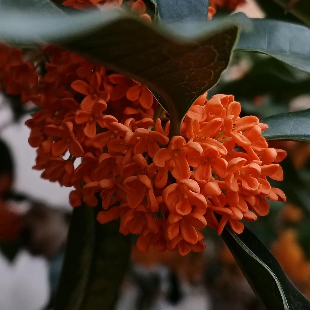 艺霖装饰，金艺霖装饰