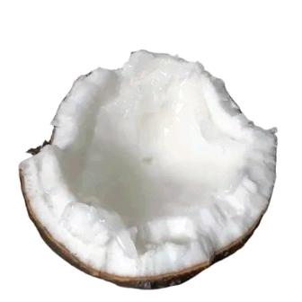 烤地瓜老板（无畏契约版）