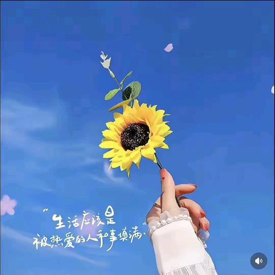 圆圆财  ◍˃ᵕ˂◍