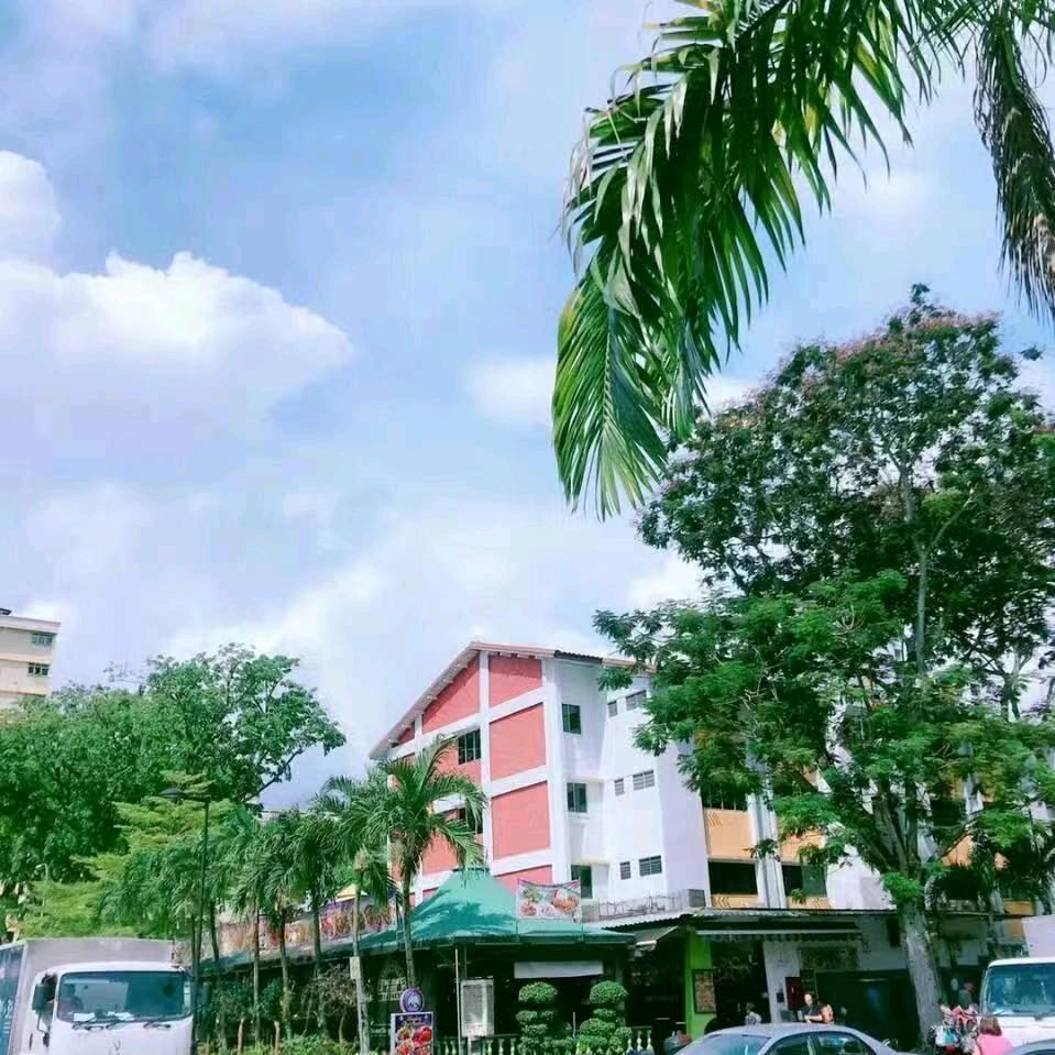 你是我的唯一