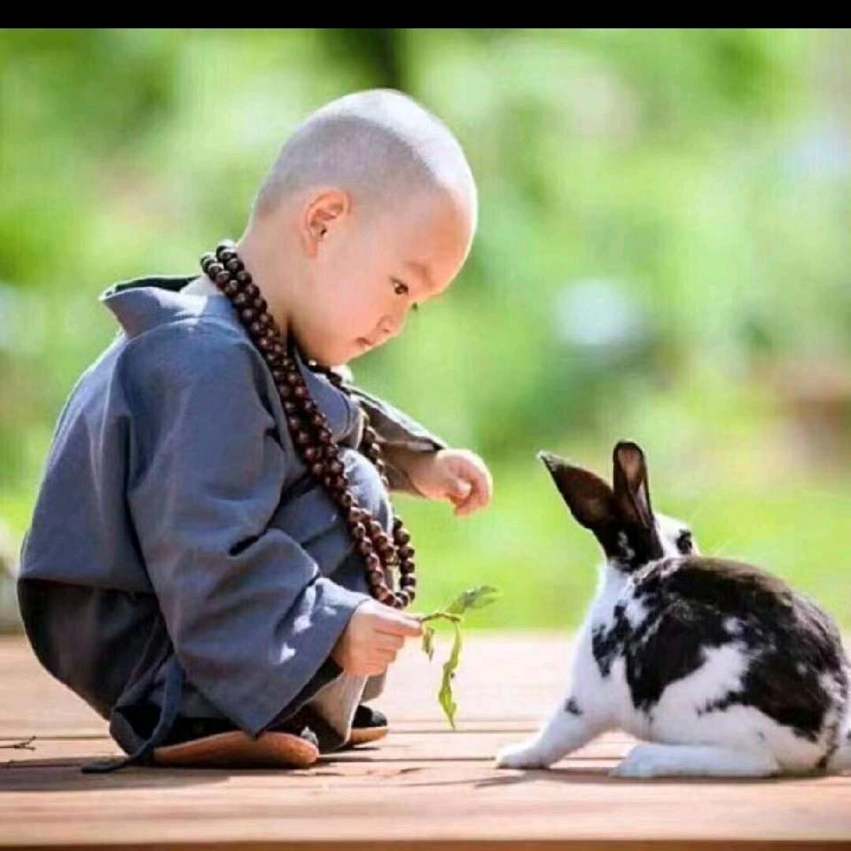 想来想去，又做了梦🤔🤔