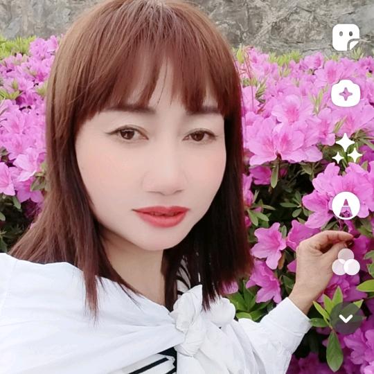 黛眉浅谈877